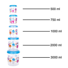 2446 Plastic Transparent Container Air Tight Dabba Set (3000ml, 2000ml, 1000ml, 750ml, 500ml) DeoDap